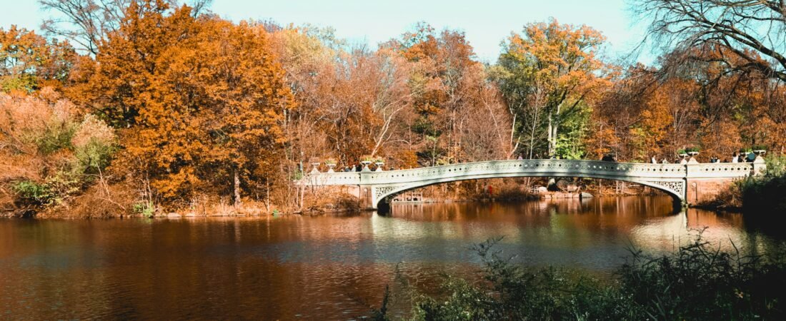 Central Park in One Day: The Perfect NYC Local Route