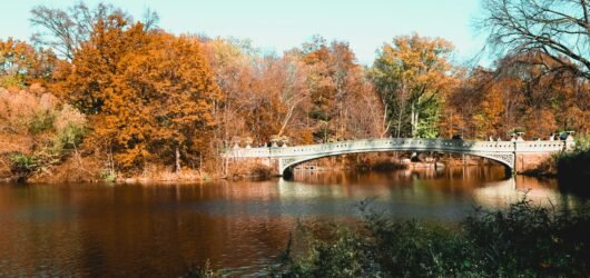 Central Park in One Day: The Perfect NYC Local Route